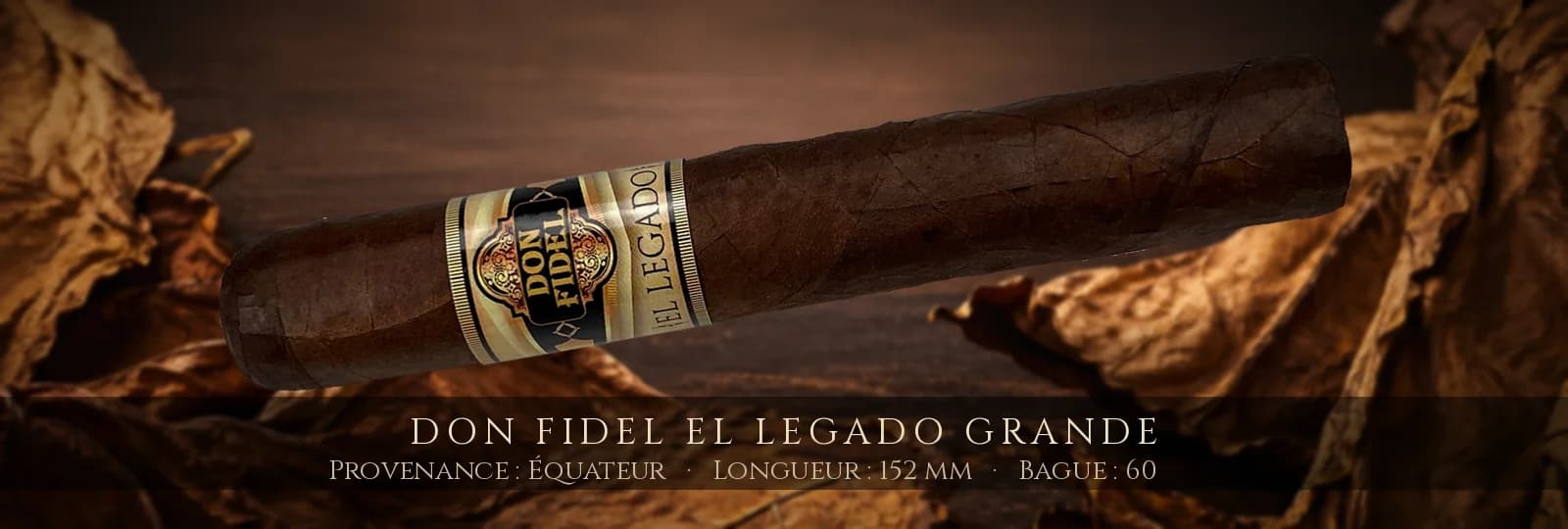 Don Fidel El Legado Grande — Don Fidel — Équateur
