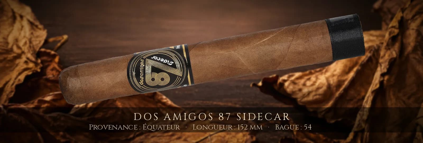 Dos Amigos 87 Sidecar — Dos Amigos — Équateur