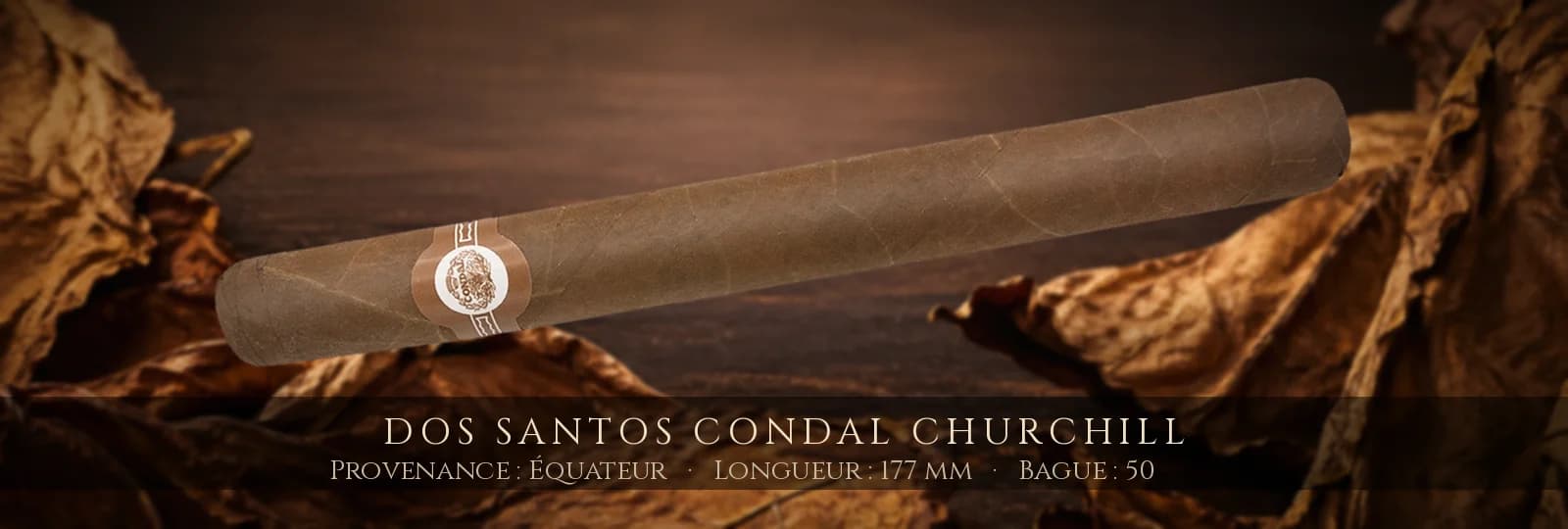Dos Santos Condal Churchill — Dos Santos — Équateur