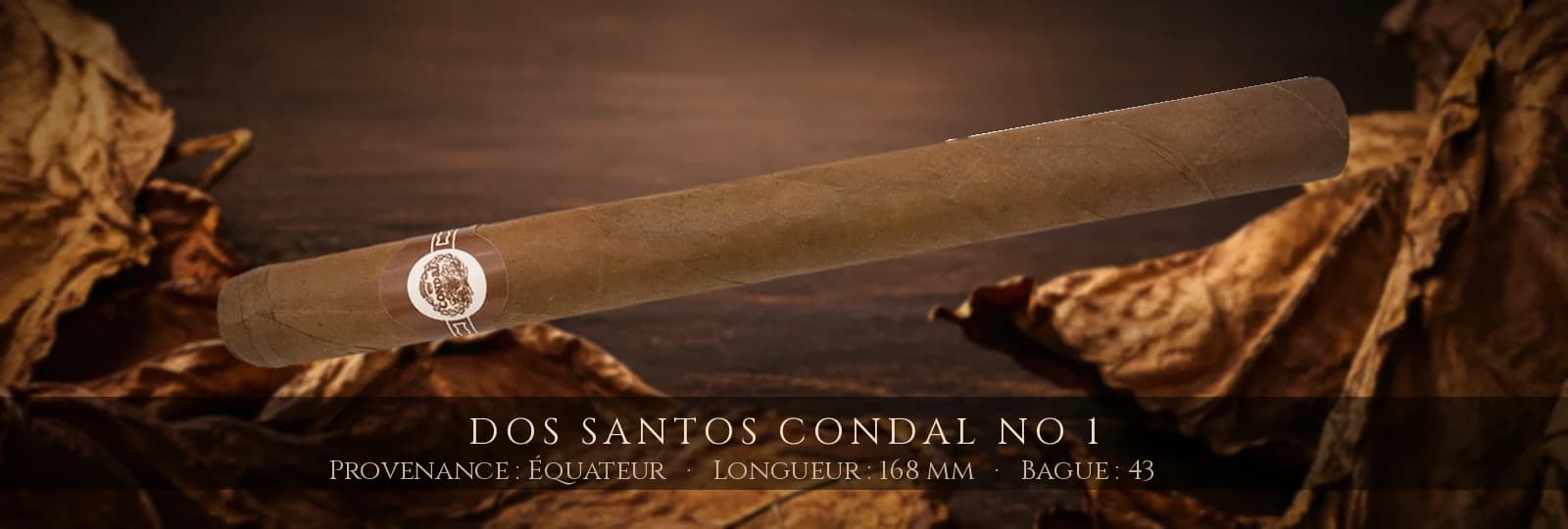 Dos Santos Condal No 1 — Dos Santos — Équateur