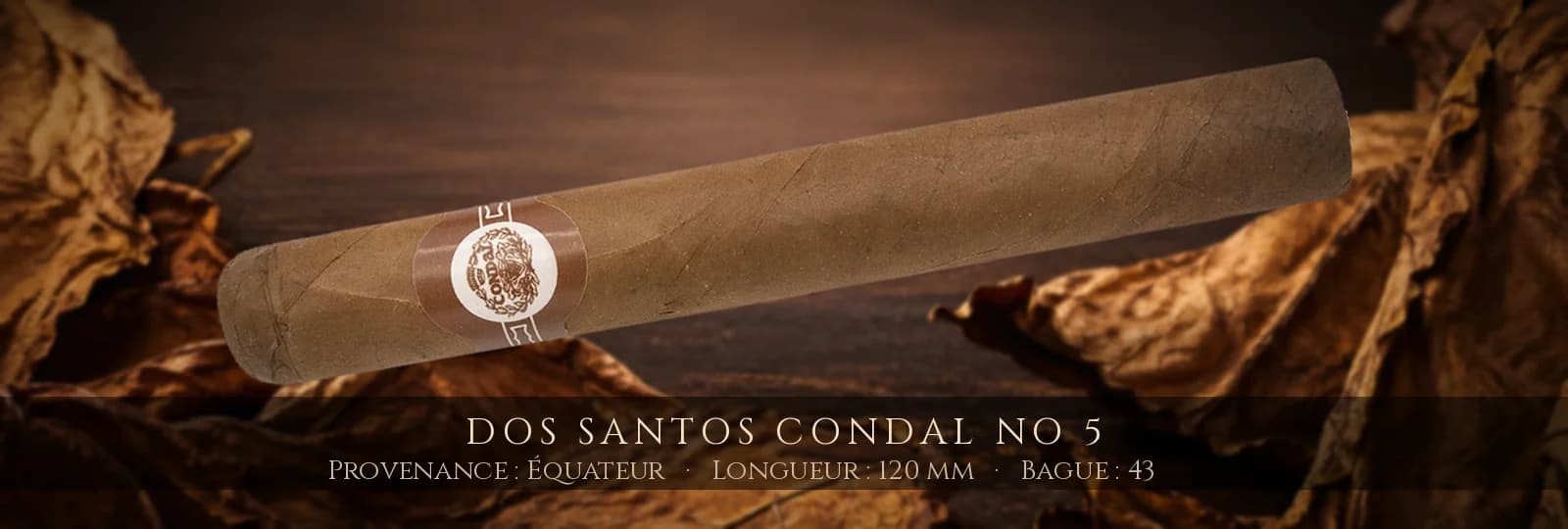 Dos Santos Condal No 5 — Dos Santos — Équateur
