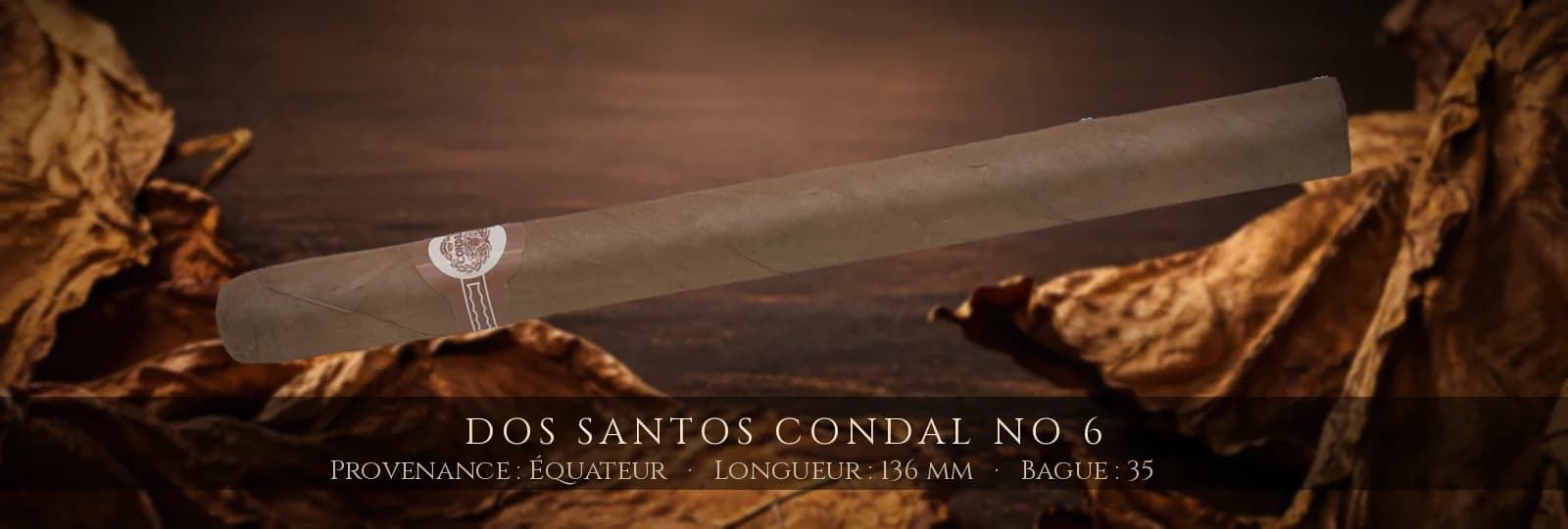 Dos Santos Condal No 6 — Dos Santos — Équateur
