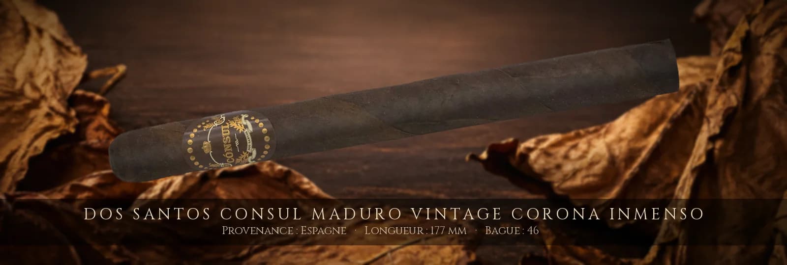 Dos Santos Consul Maduro Vintage Corona Inmenso — Dos Santos — Espagne