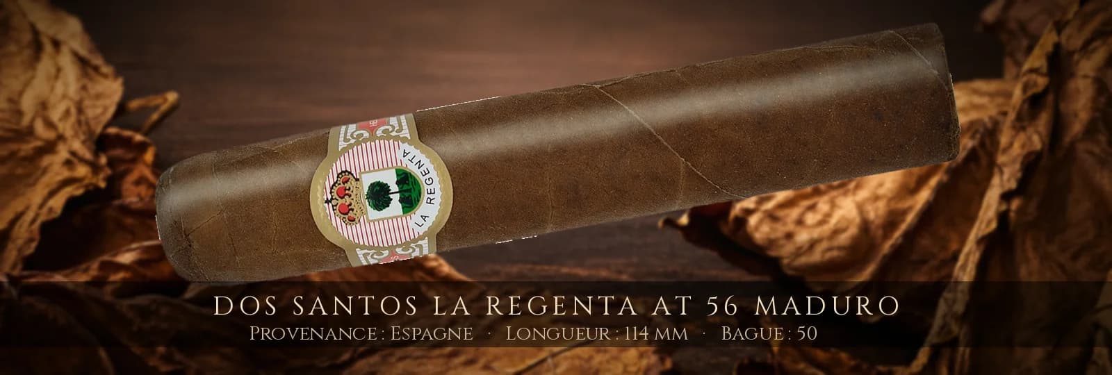 Dos Santos La Regenta AT 56 Maduro — Dos Santos — Espagne