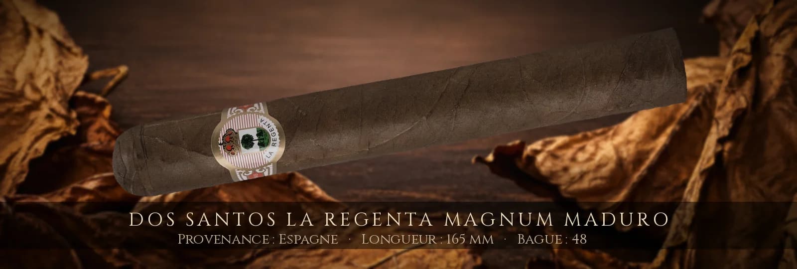 Dos Santos La Regenta Magnum Maduro — Dos Santos — Espagne