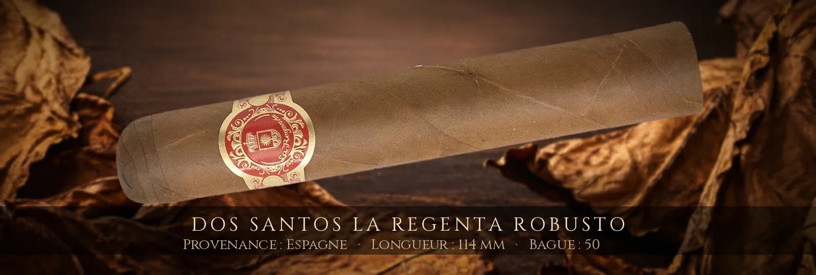 Dos Santos La Regenta Robusto — Dos Santos — Espagne