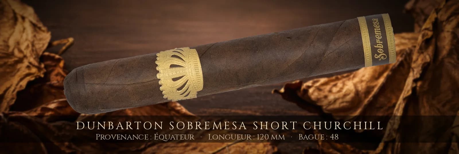Dunbarton Sobremesa Short Churchill — Dunbarton — Équateur