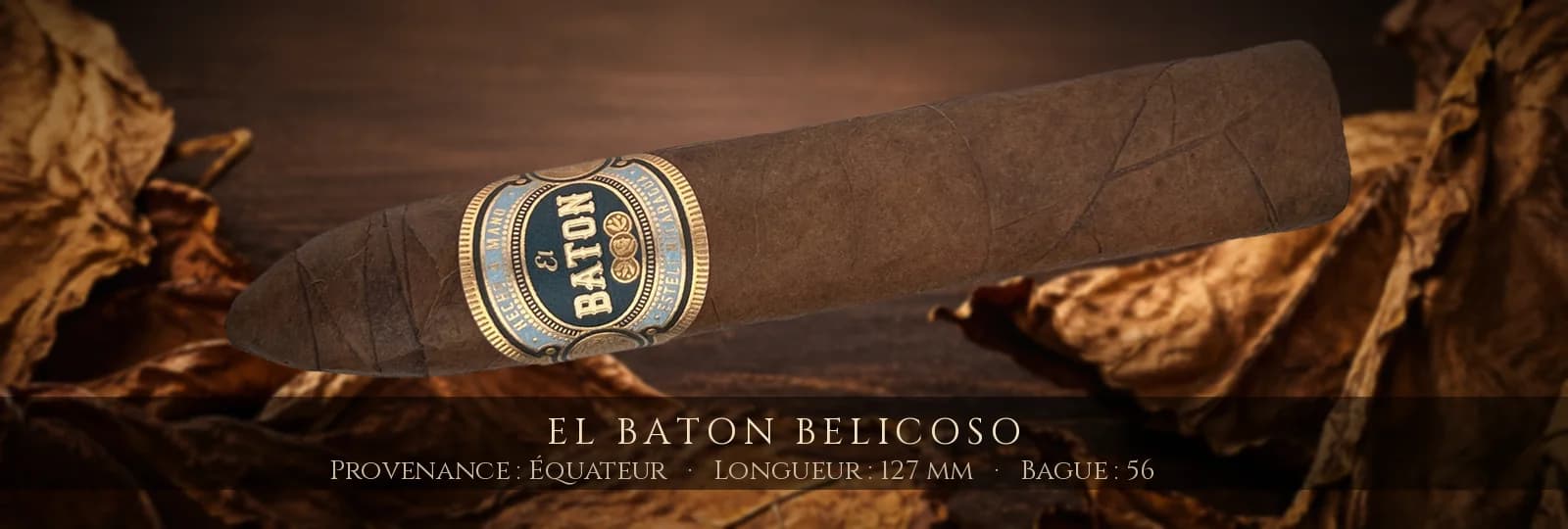 El Baton Belicoso — El Baton — Équateur