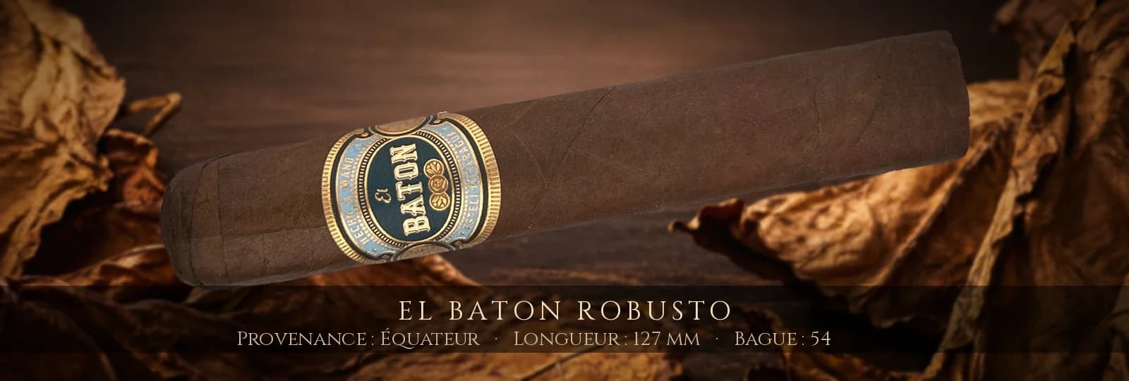 El Baton Robusto — El Baton — Équateur