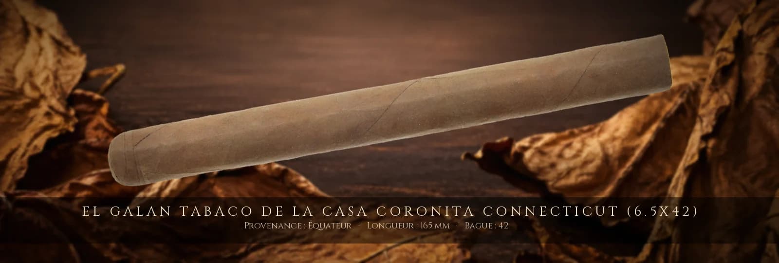 El Galan Tabaco de la Casa Coronita CONNECTICUT (6.5x42) — El Galan — Équateur