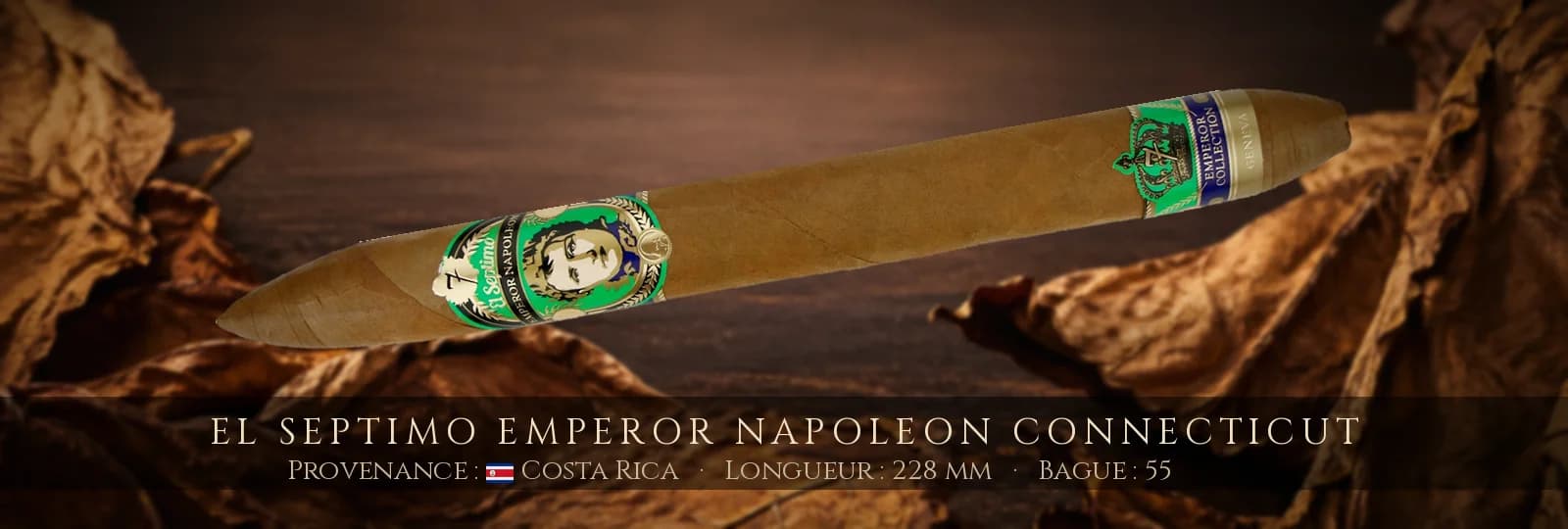 El Septimo Emperor Napoleon Connecticut — El Septimo — Costa Rica