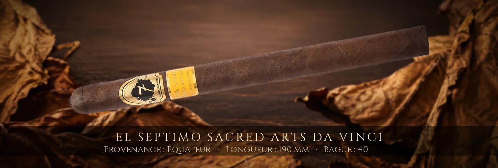 El Septimo Sacred Arts Da Vinci — El Septimo — Équateur
