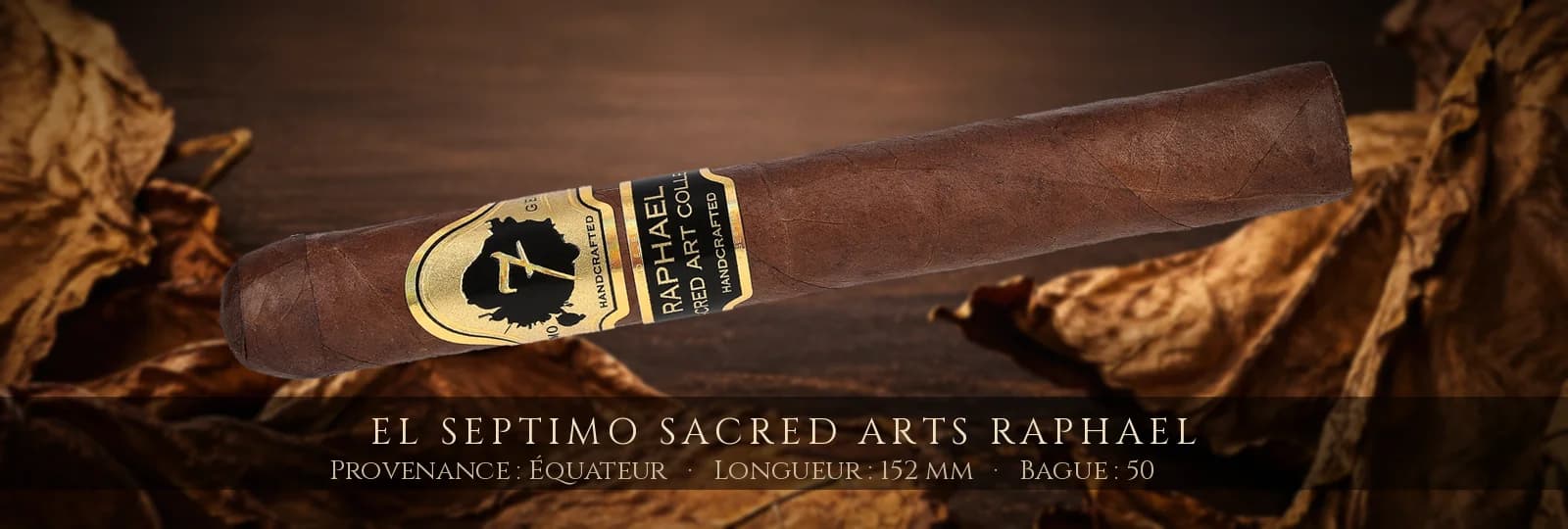 El Septimo Sacred Arts Raphael — El Septimo — Équateur