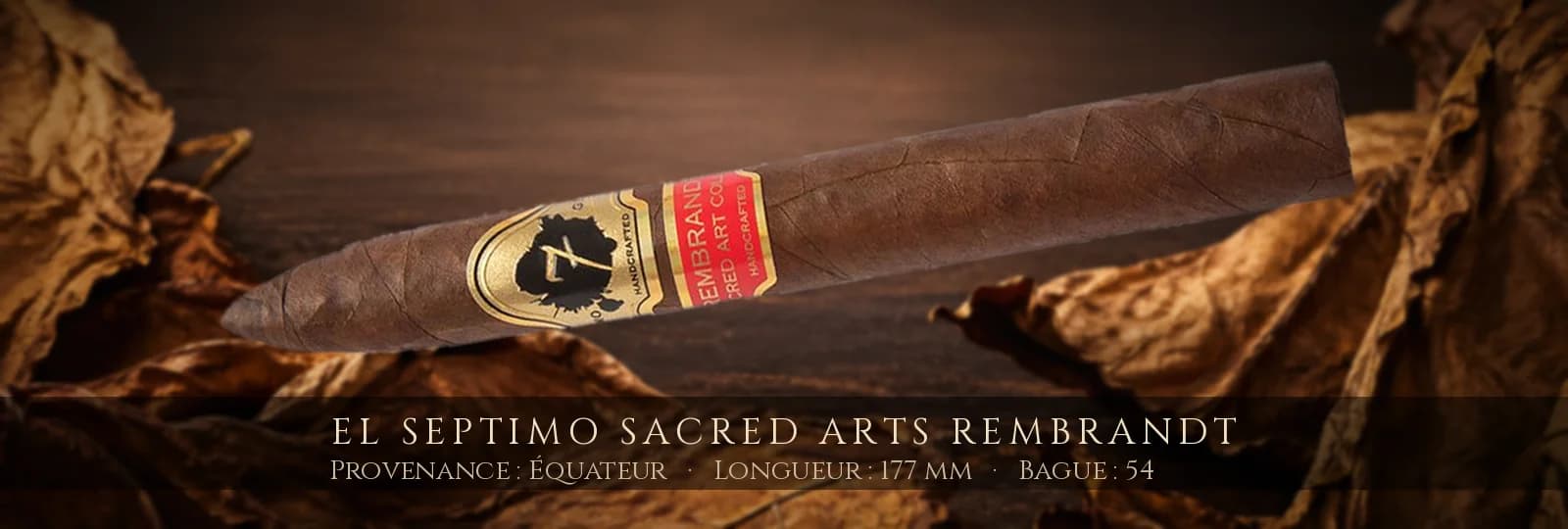 El Septimo Sacred Arts Rembrandt — El Septimo — Équateur