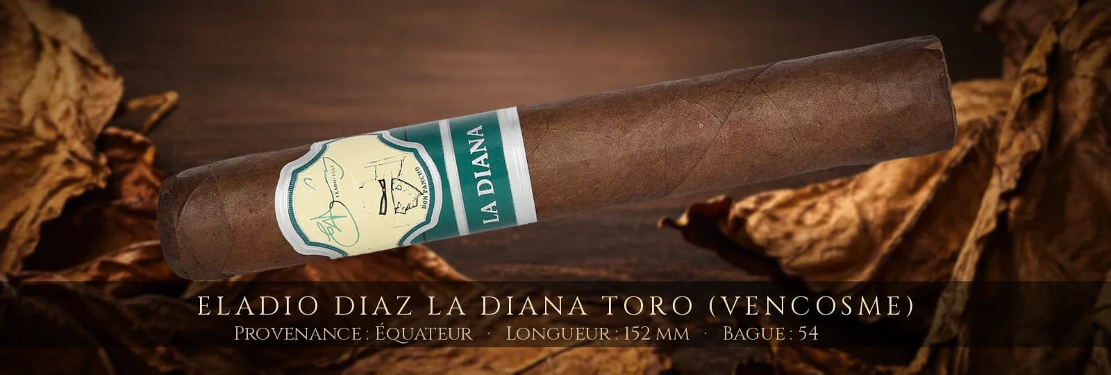 Eladio Diaz La Diana Toro (Vencosme) — Eladio Diaz — Équateur