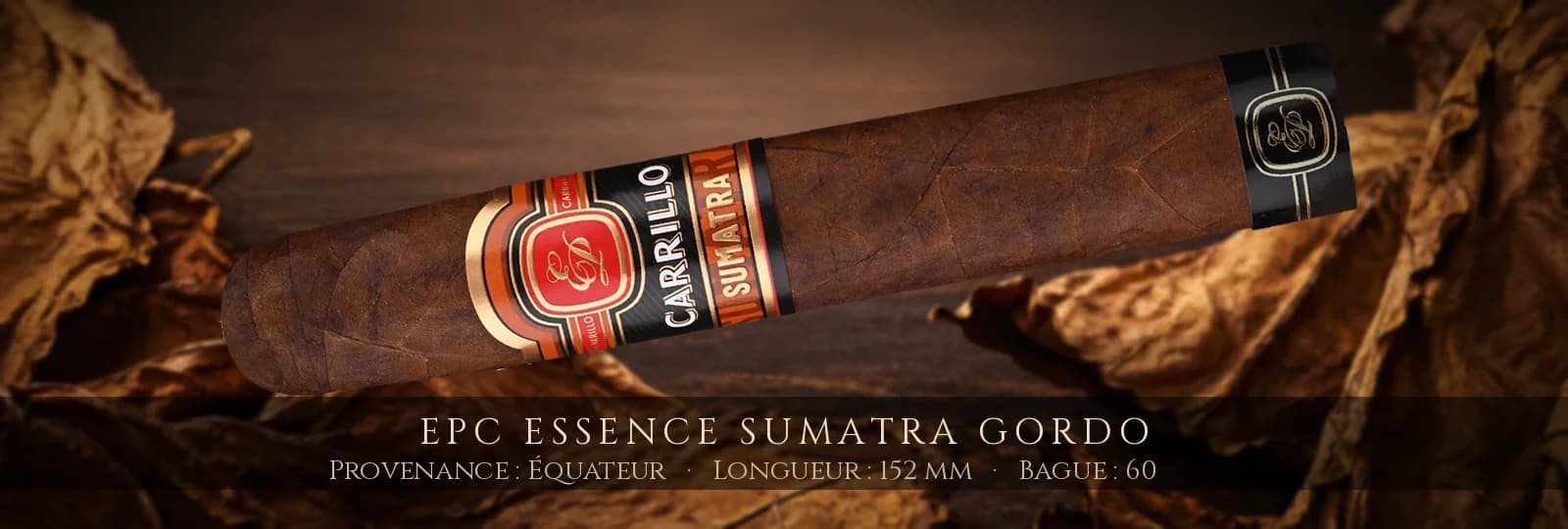 EPC Essence Sumatra Gordo — EPC — Équateur