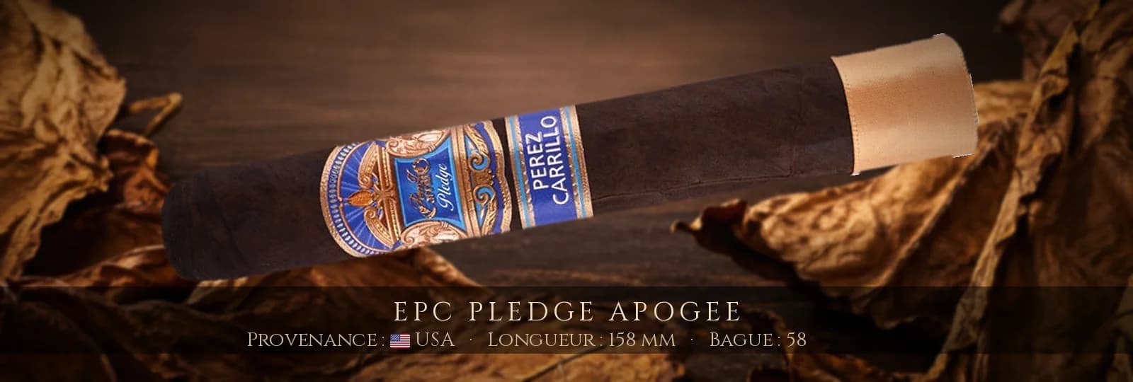EPC Pledge Apogee — EPC — USA