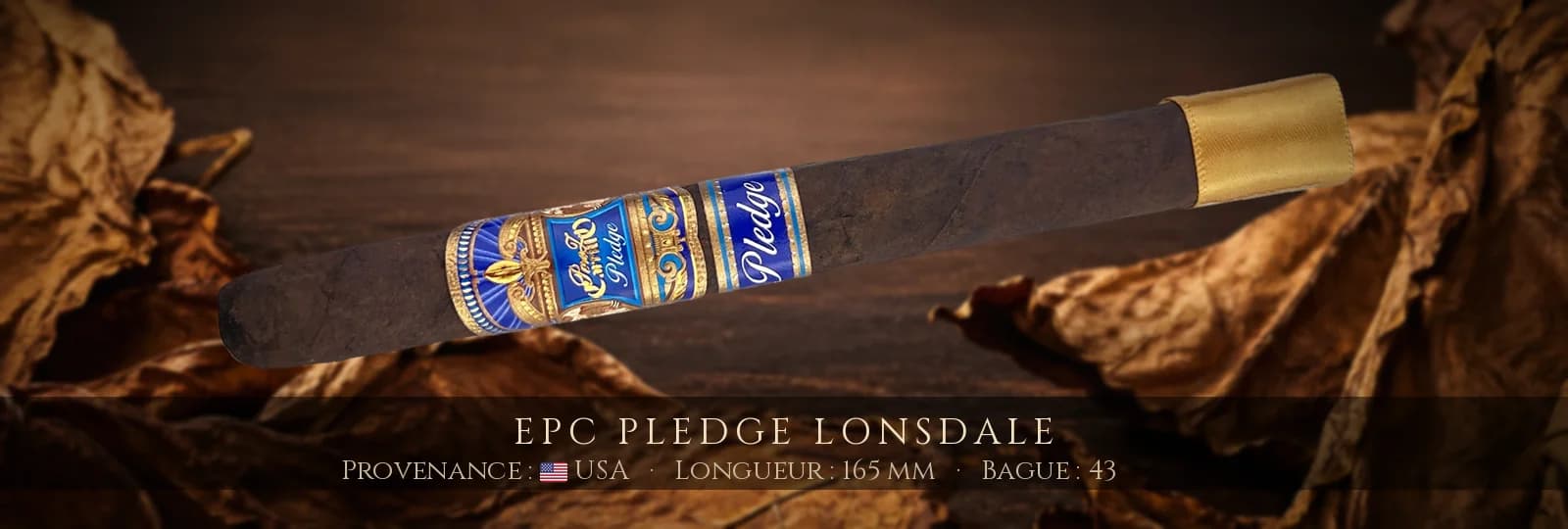 EPC Pledge Lonsdale — EPC — USA