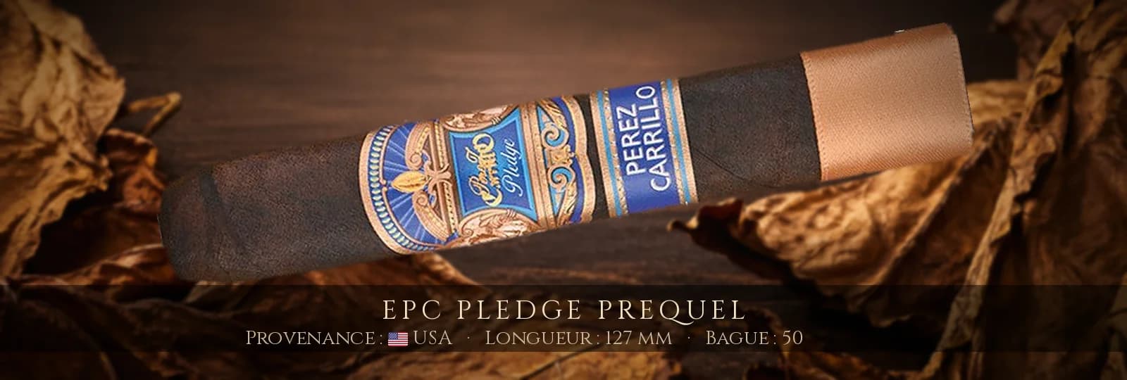 EPC Pledge Prequel — EPC — USA