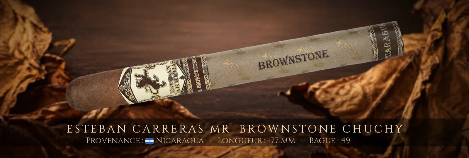 Esteban Carreras Mr. Brownstone Chuchy — Esteban Carreras — Nicaragua