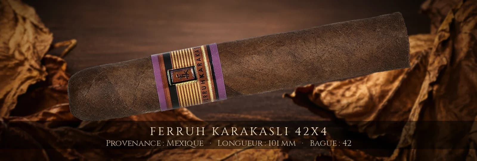 Ferruh Karakasli 42x4 — Ferruh Karakasli — Mexique