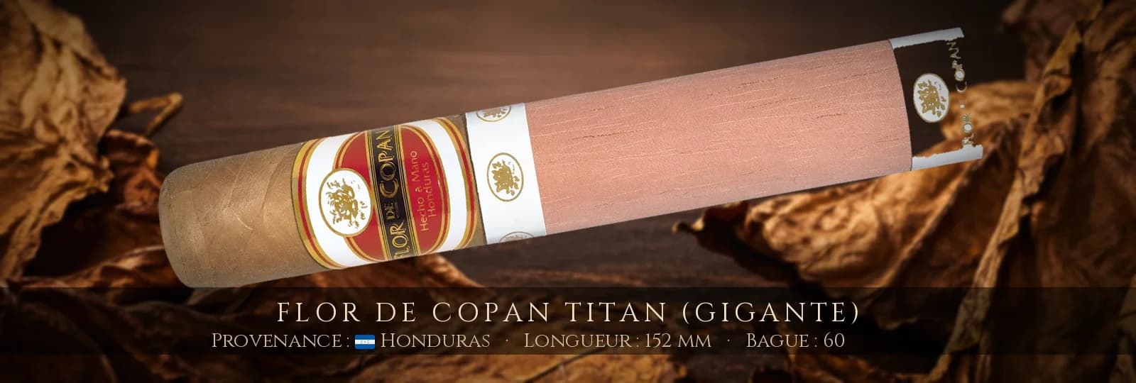 Flor de Copan Titan (Gigante) — Flor de Copan — Honduras