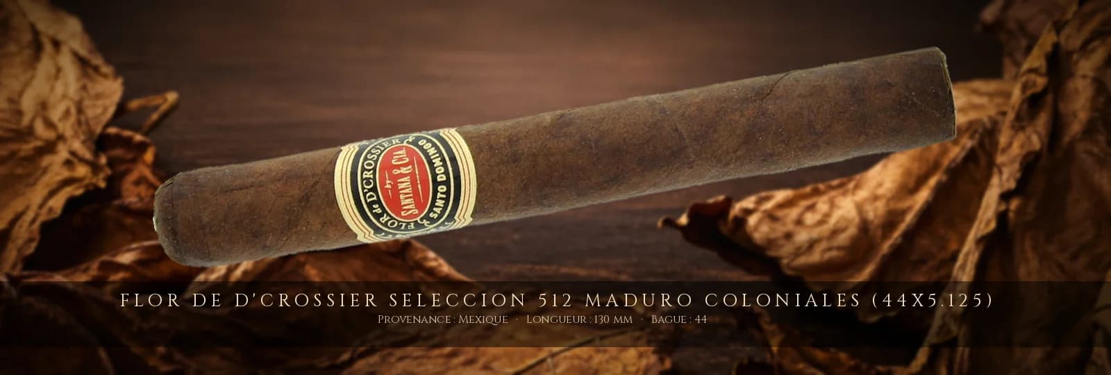 Flor de D'Crossier Seleccion 512 Maduro Coloniales (44x5.125) — Flor de D'Crossier — Mexique