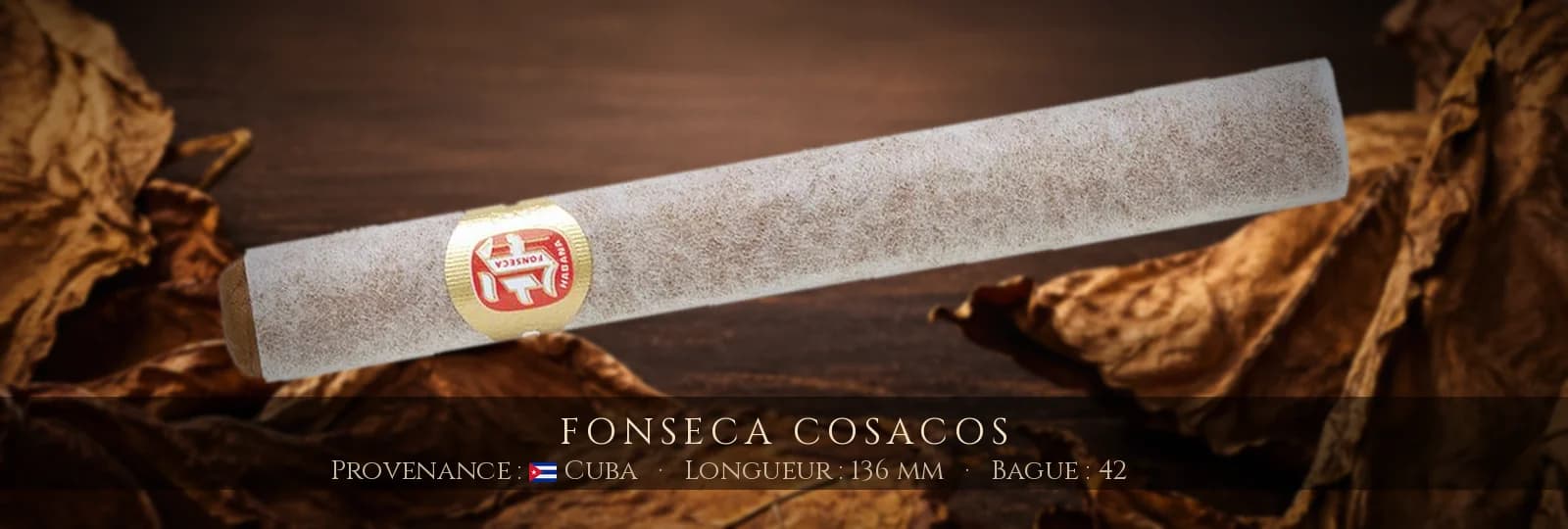 Fonseca Cosacos — Fonseca — Cuba