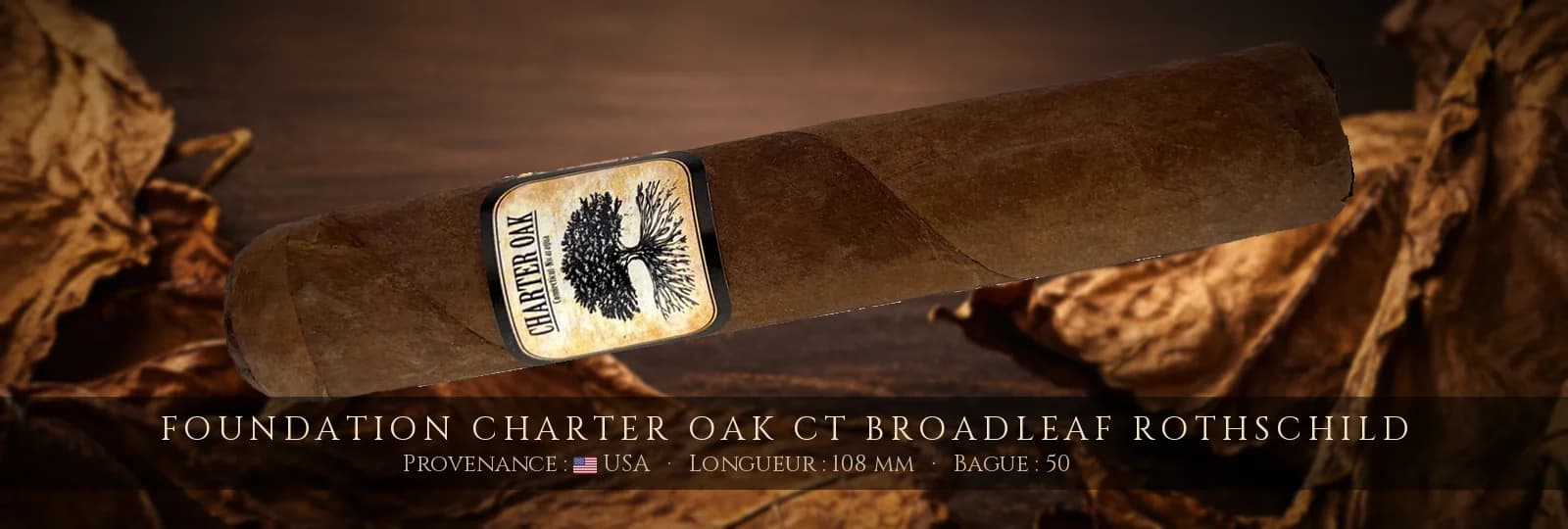Foundation Charter Oak CT Broadleaf Rothschild — Foundation — USA