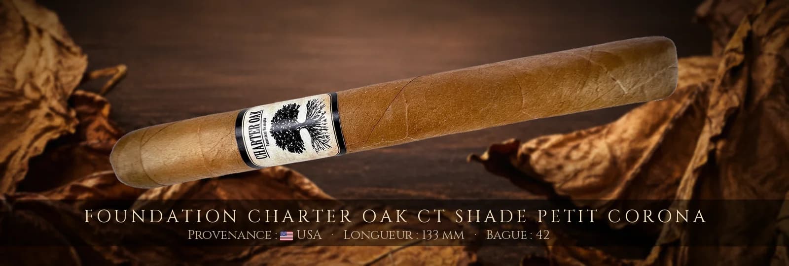 Foundation Charter Oak CT Shade Petit Corona — Foundation — USA