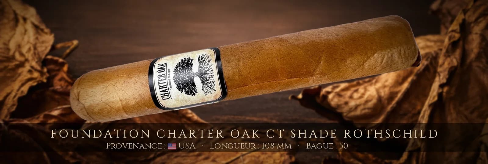 Foundation Charter Oak CT Shade Rothschild — Foundation — USA