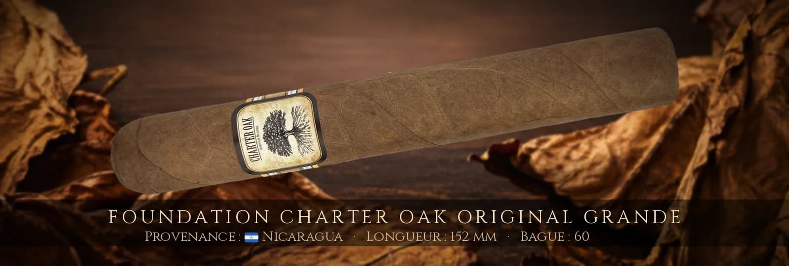 Foundation Charter Oak Original Grande — Foundation — Nicaragua
