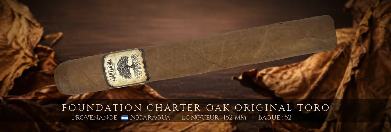 Foundation Charter Oak Original Toro — Foundation — Nicaragua
