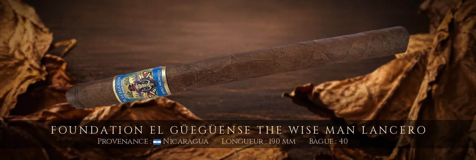 Foundation El Güegüense The Wise Man Lancero — Foundation — Nicaragua