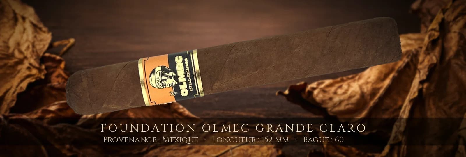 Foundation Olmec Grande Claro — Foundation — Mexique