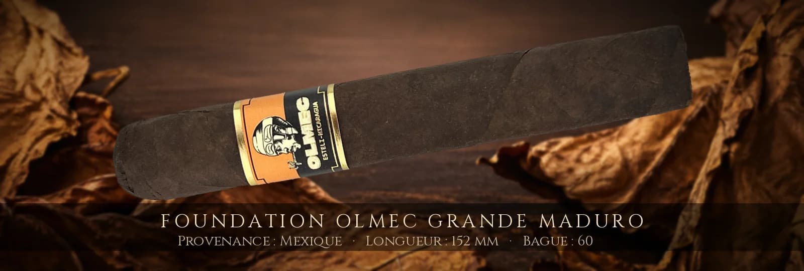 Foundation Olmec Grande Maduro — Foundation — Mexique
