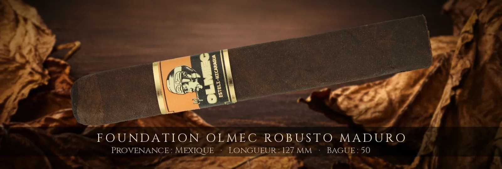 Foundation Olmec Robusto Maduro — Foundation — Mexique