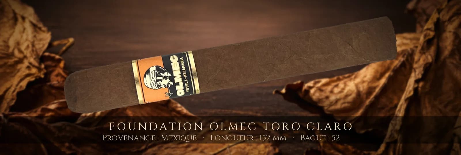 Foundation Olmec Toro Claro — Foundation — Mexique