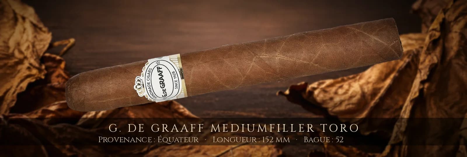 G. De Graaff mediumfiller Toro — G. De Graaff — Équateur
