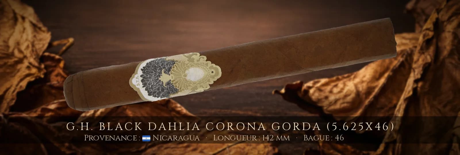 G.H. Black Dahlia Corona Gorda (5.625x46) — G.H. — Nicaragua