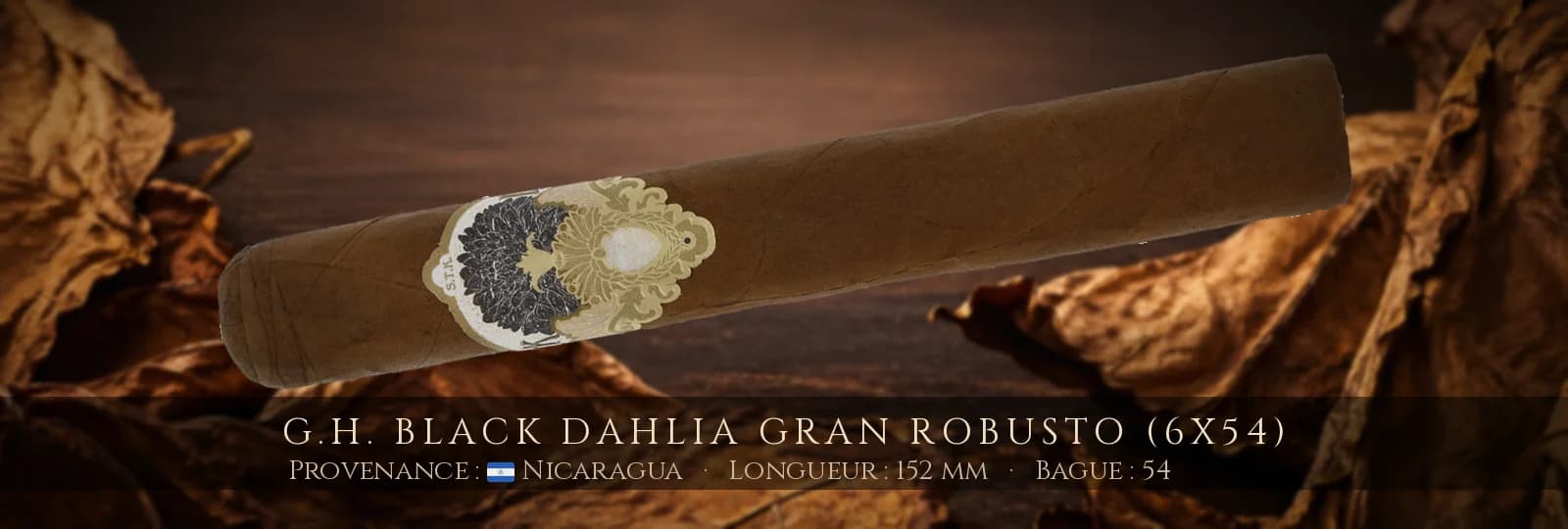 G.H. Black Dahlia Gran Robusto (6x54) — G.H. — Nicaragua