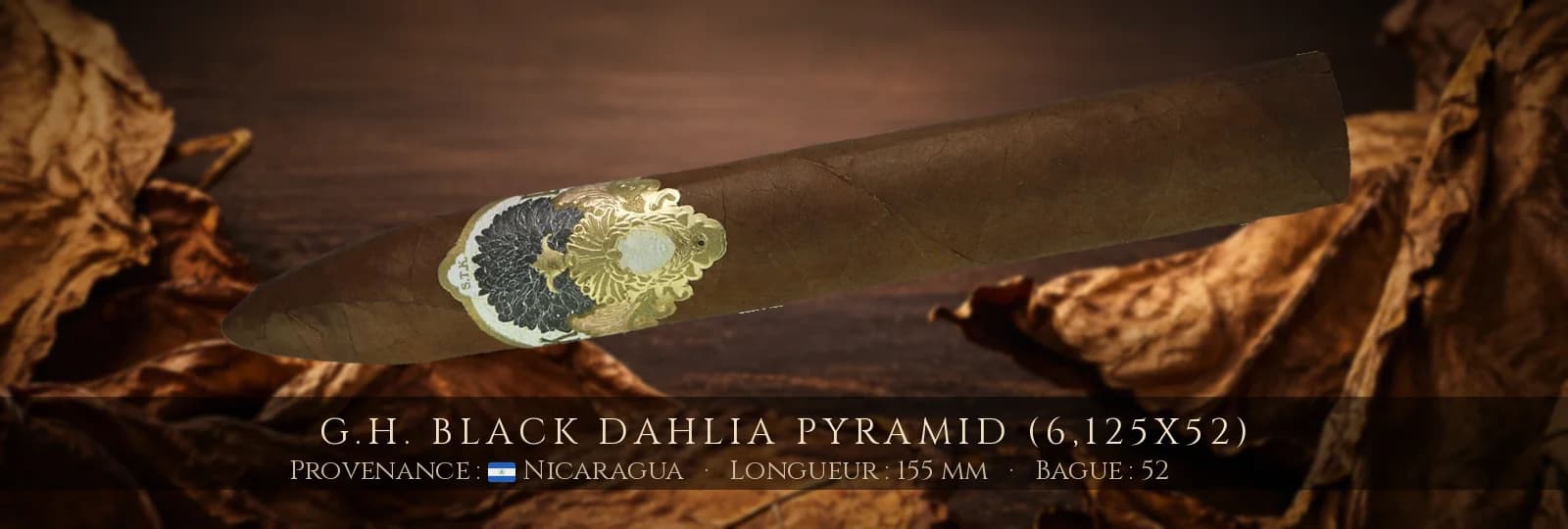 G.H. Black Dahlia Pyramid (6,125x52) — G.H. — Nicaragua