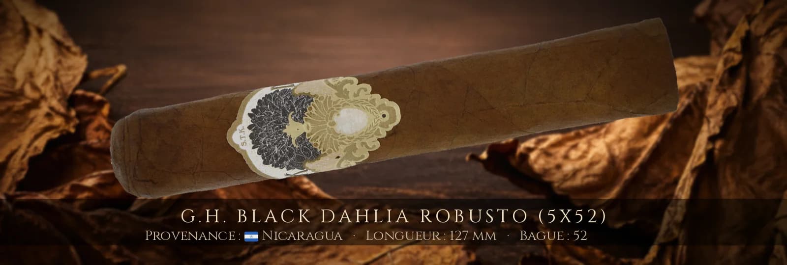 G.H. Black Dahlia Robusto (5x52) — G.H. — Nicaragua