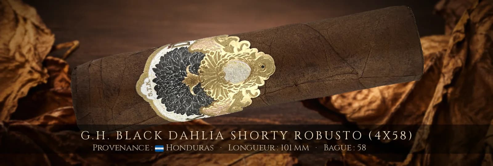 G.H. Black Dahlia Shorty Robusto (4x58) — G.H. — Honduras