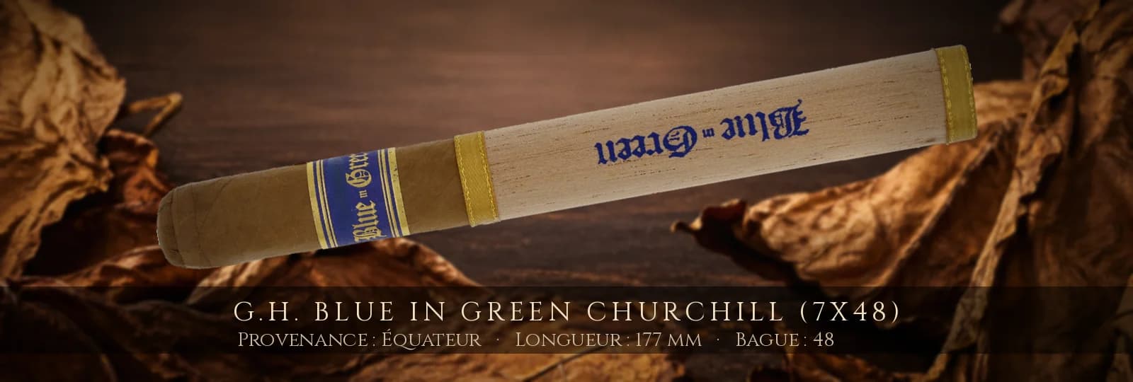 G.H. Blue in Green Churchill (7x48) — G.H. — Équateur