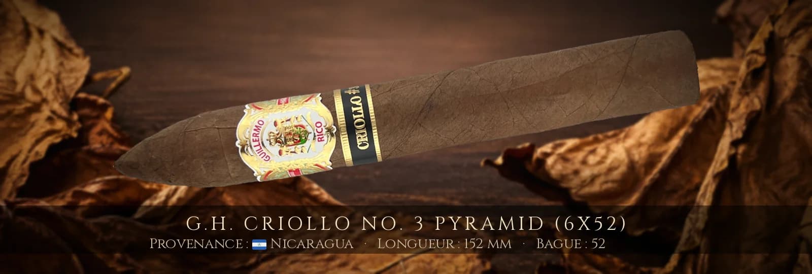 G.H. Criollo No. 3 Pyramid (6x52) — G.H. — Nicaragua