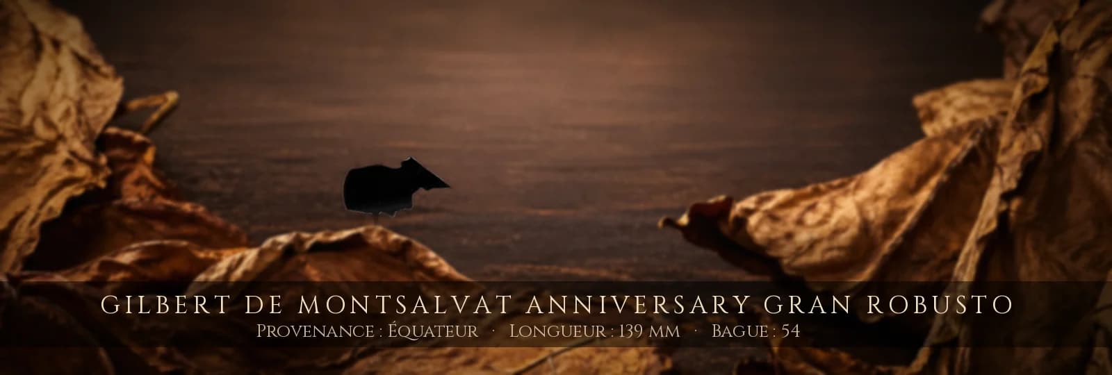 Gilbert de Montsalvat Anniversary Gran Robusto — Gilbert de Montsalvat — Équateur