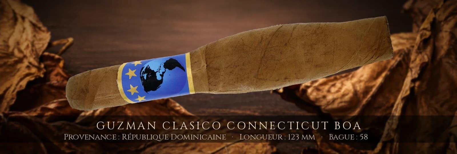 Guzman Clasico Connecticut Boa — Guzman — République Dominicaine