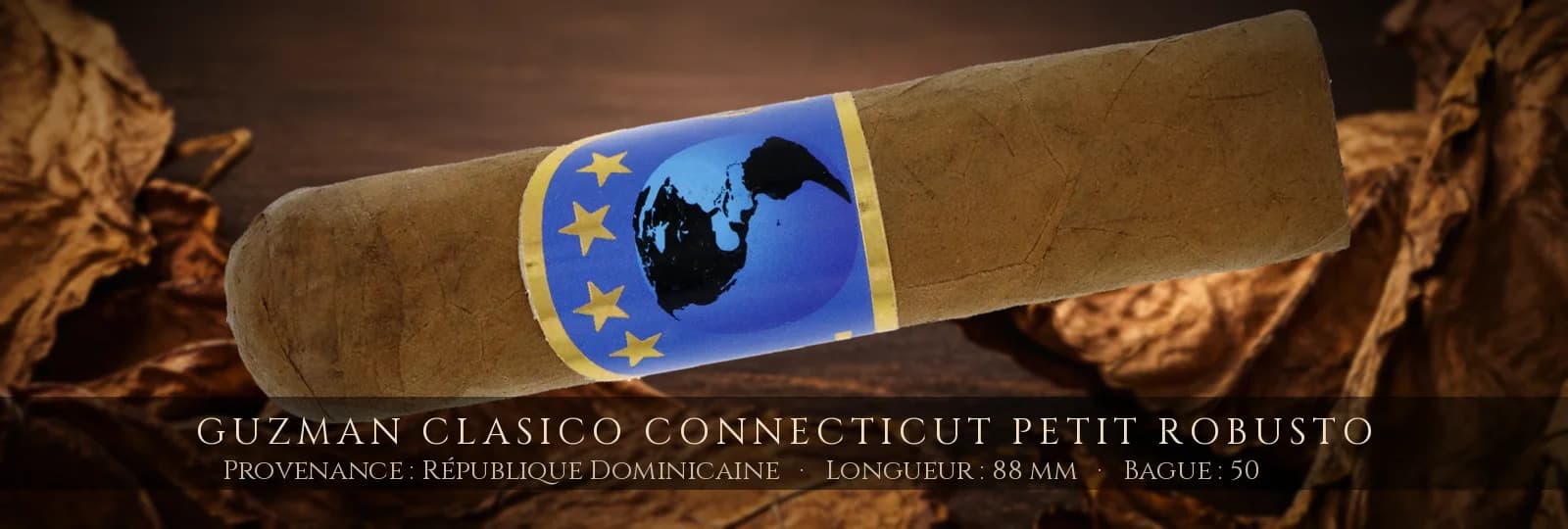 Guzman Clasico Connecticut Petit Robusto — Guzman — République Dominicaine