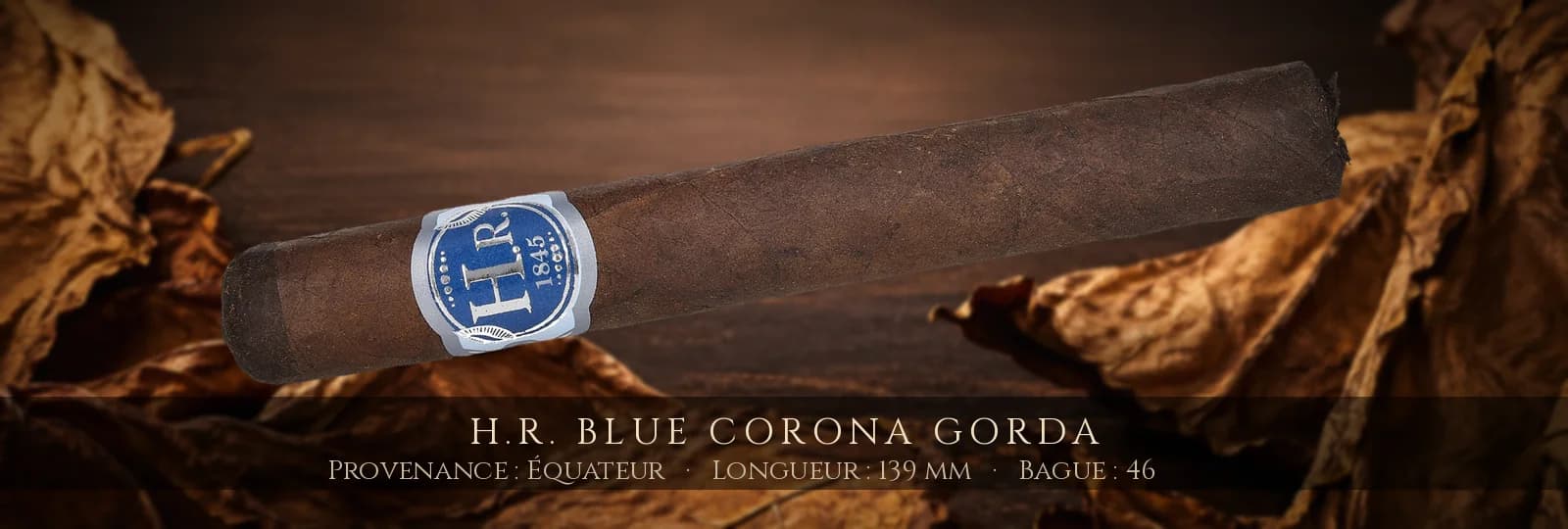 H.R. Blue Corona Gorda — H.R. — Équateur